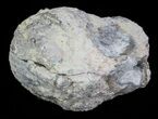 Crystal Filled Dugway Geode - Sparkly Quartz #33179-1